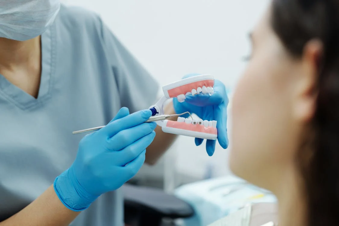 allineamento denti lepidi suriano